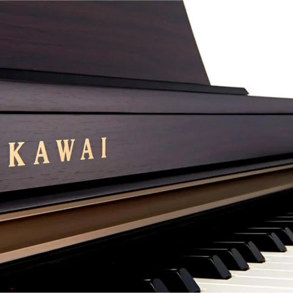 Цифровой пиан Kawai CN201 Акустический/ 88 клавиш/ Dual/ Палисандр photo 2