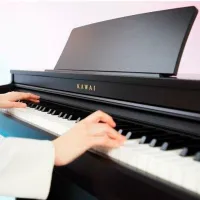 Цифровой пиан Kawai CN201 Акустический/ 88 клавиш/ Dual/ Черный photo 2