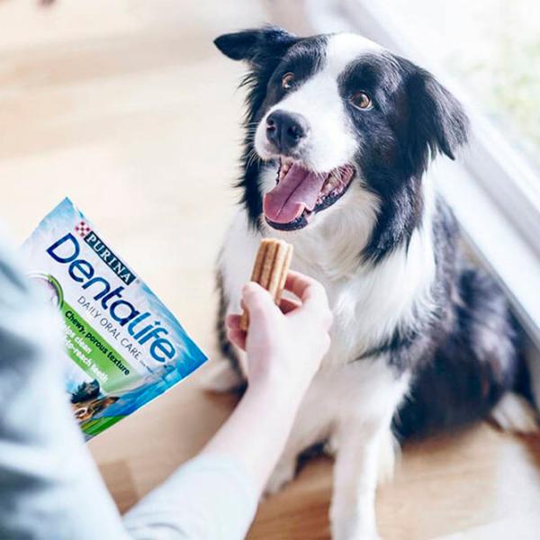 Snackuri pentru câini Purina Dentalife 7264 0.115 kg/ Găină photo 2