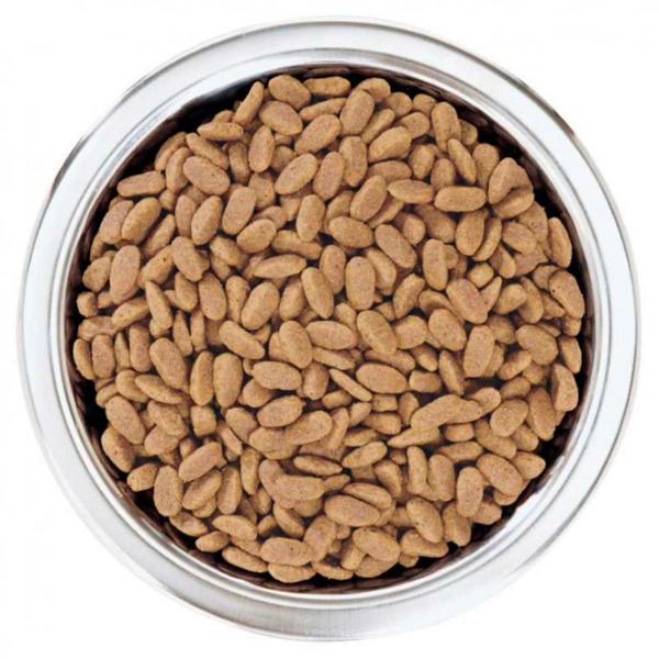 Корм для собак сухой Purina Pro Plan 7317 7 кг/ Лосось photo 2