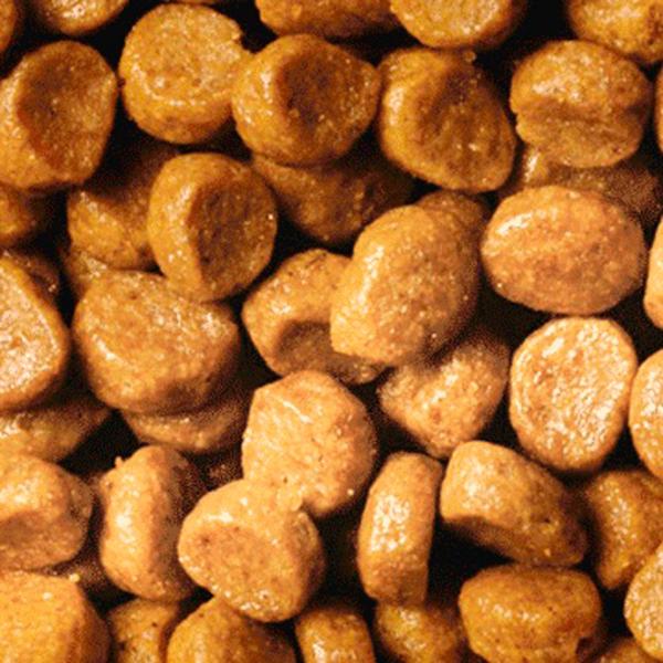 Корм для кошек сухой Purina Pro Plan Original 73262 10 кг/ Курица photo 3