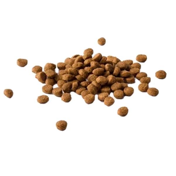 Корм для кошек сухой Purina Cat Chow Special HC 72592 15 кг/ Курица photo 2