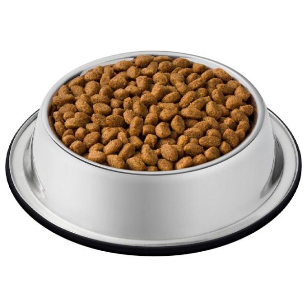 Корм для кошек сухой Purina Cat Chow Special Sterile 72593 15 кг/ Курица photo 2 Корм для кошек сухой Purina Cat Chow Special Sterile 72593 15 кг/ Курица photo 2