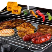 Grătar OneConcept Dr. Beef II 5470379 Electricitate/ Mobil photo 8