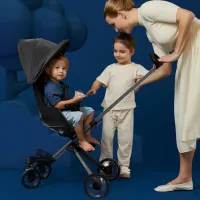 Cărucior pentru copil Qplay Easy 5480535/ Gray photo 10