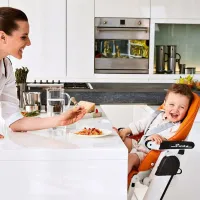 Scaun de masă Peg Perego Siesta Follow Me (7220-002) Clasic/ 6 luni / Lilac photo 10