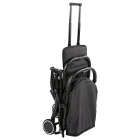Cărucior pentru copil Chicco TrolleyMe 5402371/ Black photo 5