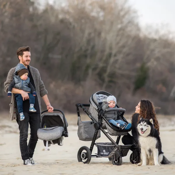 Cărucior pentru copil Lorelli Alexa Set 10021292186/ Black photo 9