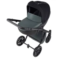 Cărucior pentru copil Anex m/ type PRO EP-02/ Green photo 2