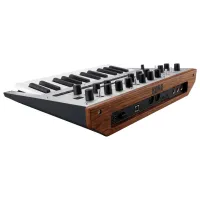 Цифровой синтезатор Korg Monologue Monophonic Analogue 25 клавиш/ Пластик/ Черный photo 3