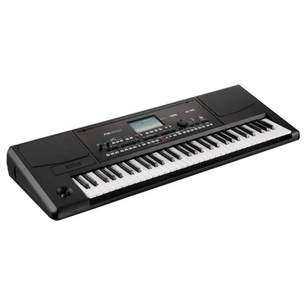 Sintetizator digital Korg PA 300 61 clape/ 128/ Plastic/ Black photo 3