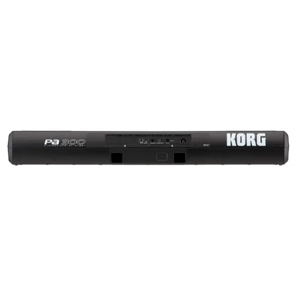 Sintetizator digital Korg PA 300 61 clape/ 128/ Plastic/ Black photo 4