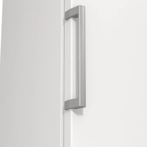 Морозильник Gorenje FN 619 FEW5 Белый photo 6
