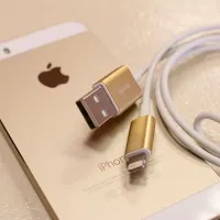 Кабель для телефона 020484 Moshi USB Type-A + Lightning 1 м/ Золото photo 3