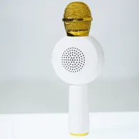 Microfon Helmet BT X6 Gold photo 3