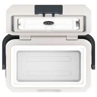 Frigider auto Alpicool Frigo P15 Cu 1 cameră / 13.5l / Electronic / 45 W / Gray photo 4