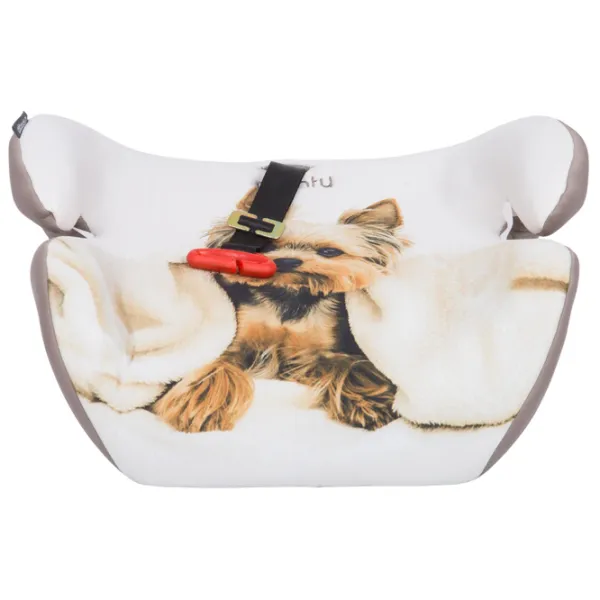 Детское автокресло Chipolino Monty (3800931049362) 6 лет - 12 лет/ 36 кг/ Бежевый photo 2 Детское автокресло Chipolino Monty (3800931049362) 6 лет - 12 лет/ 36 кг/ Бежевый photo 2