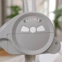 Leagăn pentru bebeluși Bright Starts Swingity Swing Goji (12536 ) 9 kg/ Gray photo 11