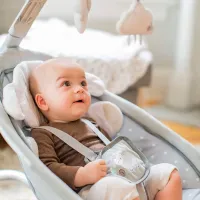 Leagăn pentru bebeluși Bright Starts Ingenuity Cuddle Lamb (04871 ) 18 kg/ Gray photo 10