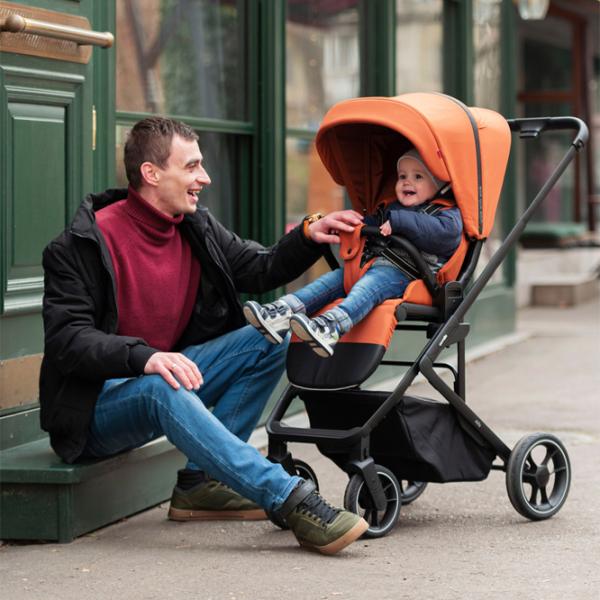 Детская коляска Carrello Alfa 2 in 1 2023 9869-3/ Черный photo 10