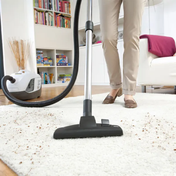 Aspirator cu spălare KARCHER DS6 Premium Plus 650 W / Gray White photo 5