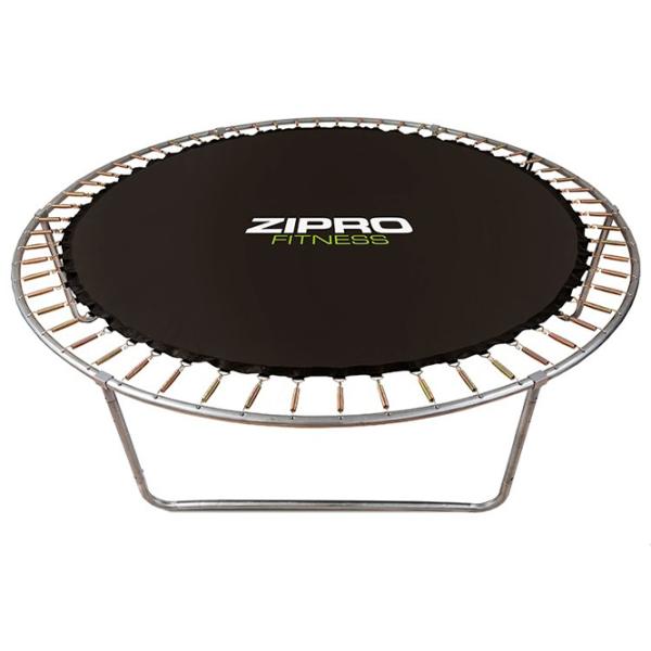 Батут Zipro Jump Pro 00-00532873 Black/ Диаметр - 496 см photo 2