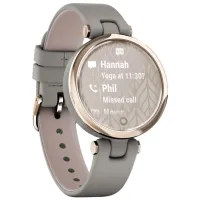 Умные часы Garmin Lily 1"/ 010-02384-B2/ Серый Балоба Золотой photo 6