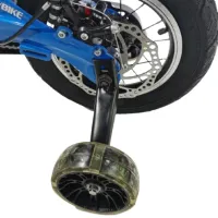 Bicicletă TyBike BK-1 Spoke 16" 14" Aliaj de magneziu / Blue Black photo 5