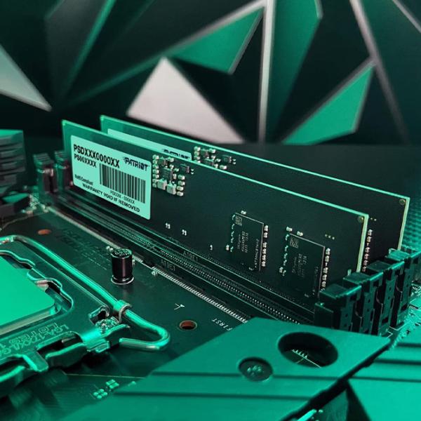 Memorie RAM Patriot Signature Line PSD516G480081 DIMM/ DDR5/ 16 GB photo 5