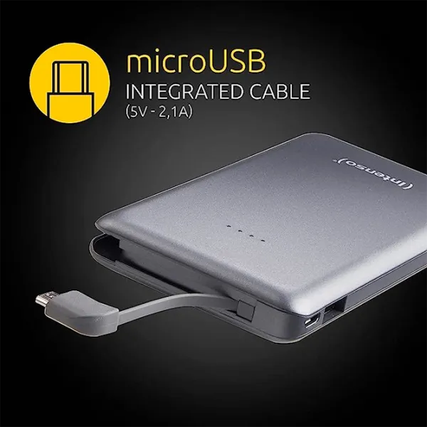 Power Bank Intenso Slim S10000 10000 мАч/ Grey photo 7