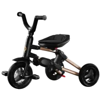 Трицикл Qplay Nova Rubber 25 кг/ Золотой photo 3