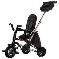Трицикл Qplay Nova Rubber 25 кг/ Золотой photo 4