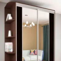 Dulap pentru haine Glisant Mobildor-Lux ARON S 1100 K2 2226 110 x 60 x 220 / PAL / Wenghe photo 3