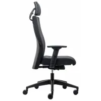 Fotoliu de birou Interstuhl RUNNER 179RS Stofă/ Black photo 2