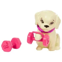Set Mattel Barbie Activity and Sport HKT91 model / 3+ photo 5