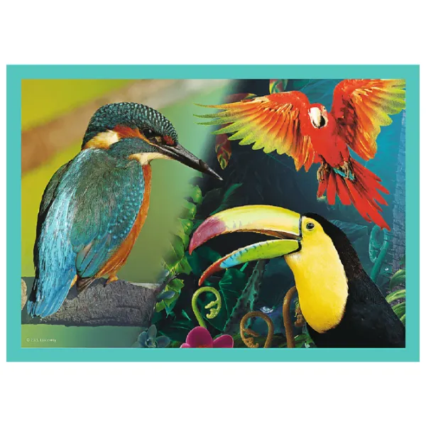 Пазл 2D Trefl The Mysterious World of Animals 4+/ Количество деталей: 207 photo 3 Пазл 2D Trefl The Mysterious World of Animals 4+/ Количество деталей: 207 photo 3