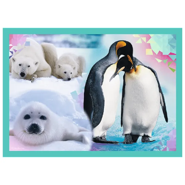 Пазл 2D Trefl The Mysterious World of Animals 4+/ Количество деталей: 207 photo 5 Пазл 2D Trefl The Mysterious World of Animals 4+/ Количество деталей: 207 photo 5