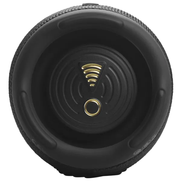 Портативная колонка JBL Charge 5 40 Вт/ Черный photo 6