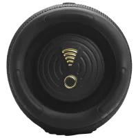 Портативная колонка JBL Charge 5 40 Вт/ Черный photo 6