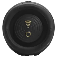 Портативная колонка JBL Charge 5 40 Вт/ Черный photo 7