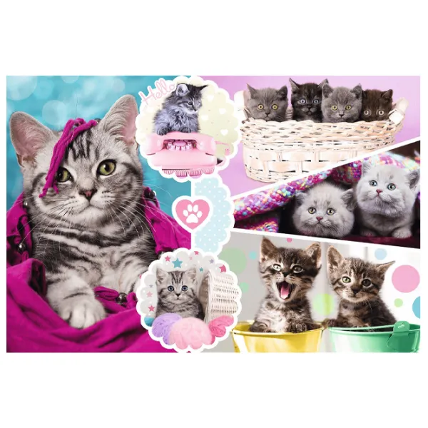 Пазл 2D Trefl Lovely kittens 6+/ Количество деталей: 160 photo 2