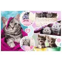 Puzzle 2D Trefl Lovely kittens 6+/ Numărul de piese: 160 photo 2