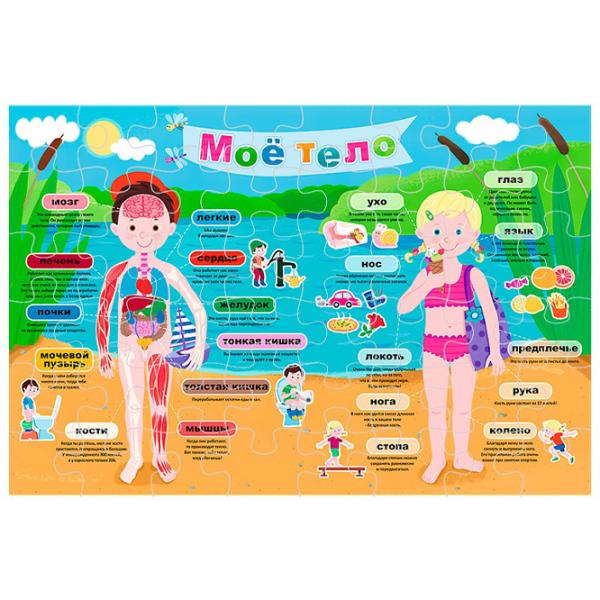 Puzzle 2D Trefl My body RU 4+/ Numărul de piese: 40 photo 2