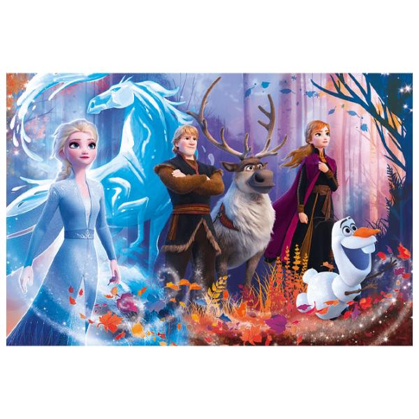 Пазл 2D Trefl Magic World 5+/ Количество деталей: 100 photo 2 Пазл 2D Trefl Magic World 5+/ Количество деталей: 100 photo 2