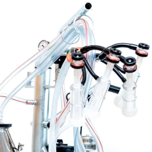 Aparat de muls oi Gardelina T130 IN PS Briggs 550 W photo 4