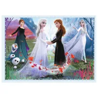 Puzzle 2D Trefl 4in1 In the magic forest 3+/ Numărul de piese: 207 photo 4