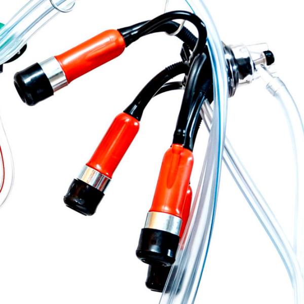 Aparat de muls vaci Gardelina 130 IN PC 550 W photo 5