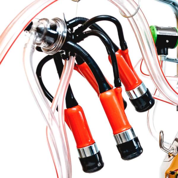 Aparat de muls vaci Gardelina 240 IN PC 550 W photo 5