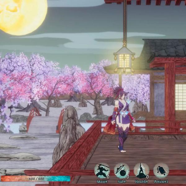 GetsuFumaDen Undying Moon Game for Nintendo Switch photo 2 GetsuFumaDen Undying Moon Game for Nintendo Switch photo 2