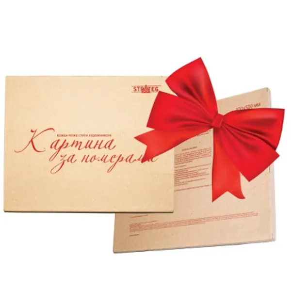 Картина по номерам Strateg Лев в очках VA-1123 50 x 40 км/ Вертикальная photo 3